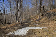 Click for larger image.