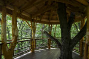 Click for larger image.