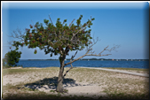 Assateague